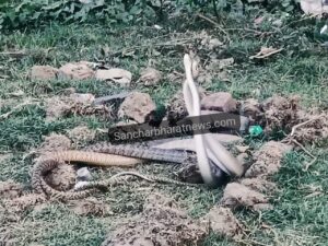 IMG-20240402-WA04751