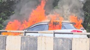 IMG_20241107_12341300