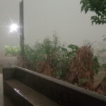 IMG-20260529-WA0002