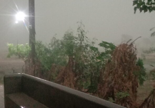 IMG-20260529-WA0002